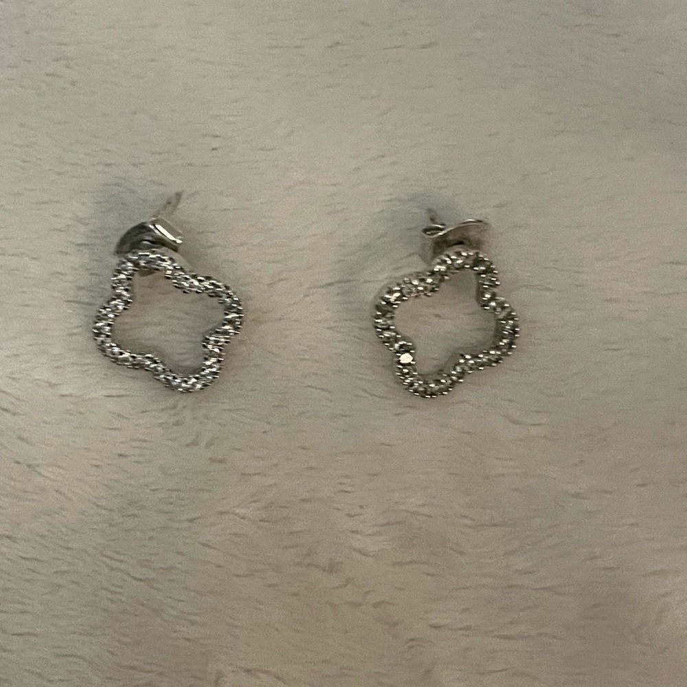Elegant Silver Flower Earrings
